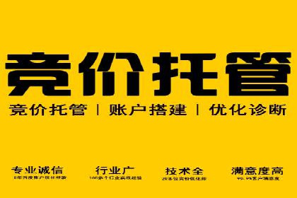百度推广托管的成功策略：多角度解析案例